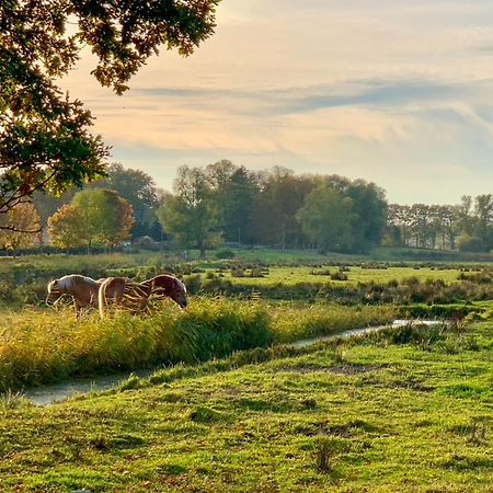 Ferienwohnungen Klein Kapelle Gingst Exteriör bild