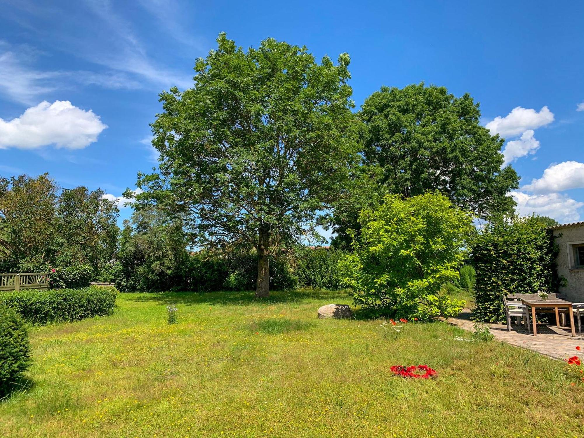 Ferienwohnungen Klein Kapelle Gingst Exteriör bild